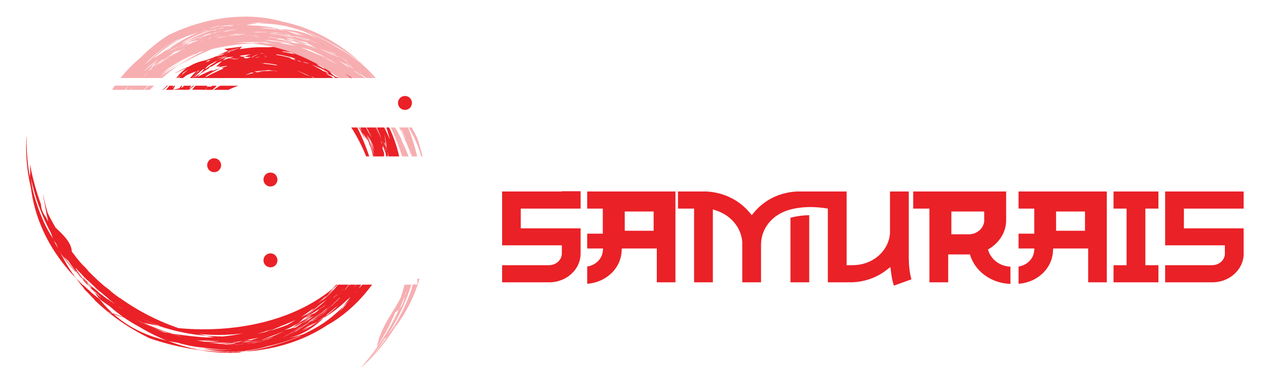 TheDigitalSamurais